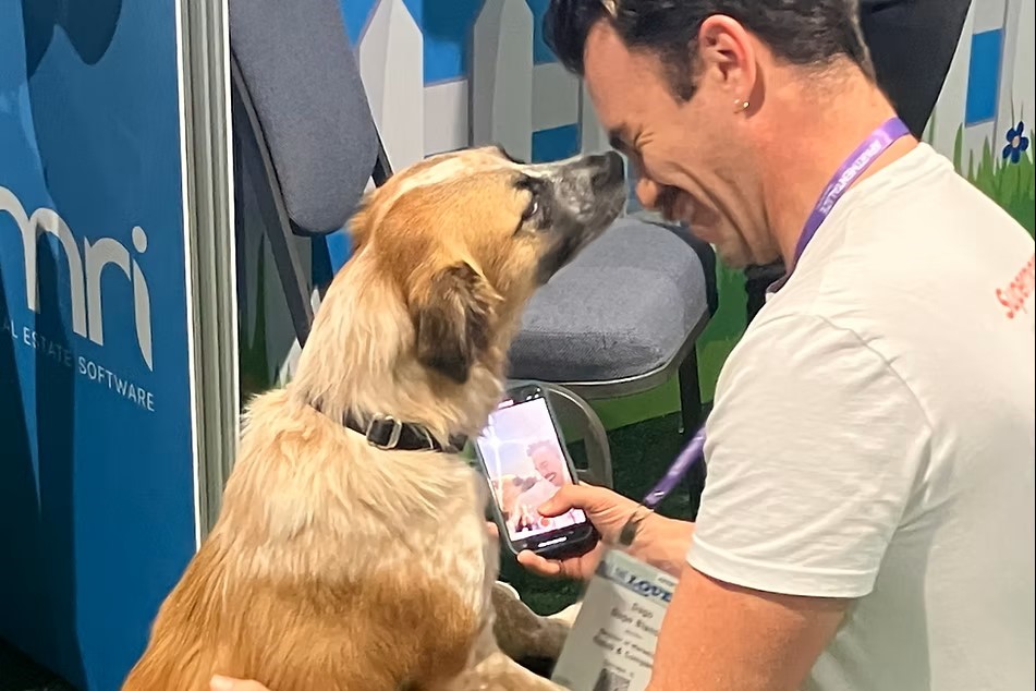 Dog interacting with GlassBuild attendee in branded lounge