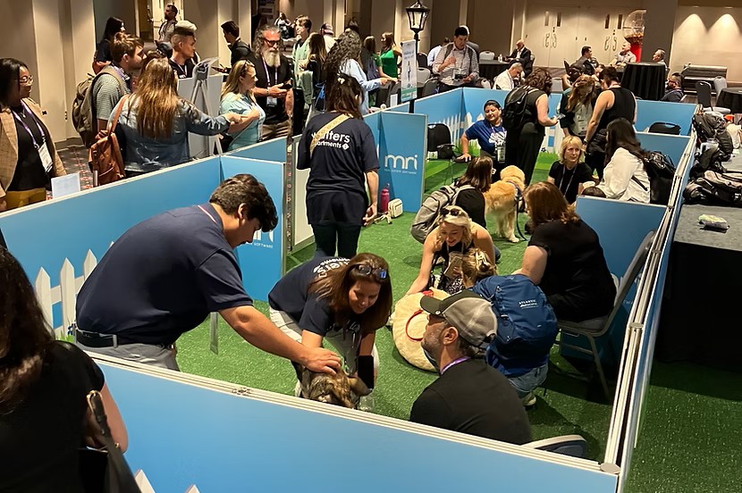 Paws for Puppies Wellness Lounge experience