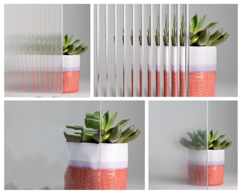 plant behind clear textured glass