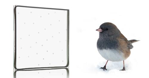 bird-friendly glass